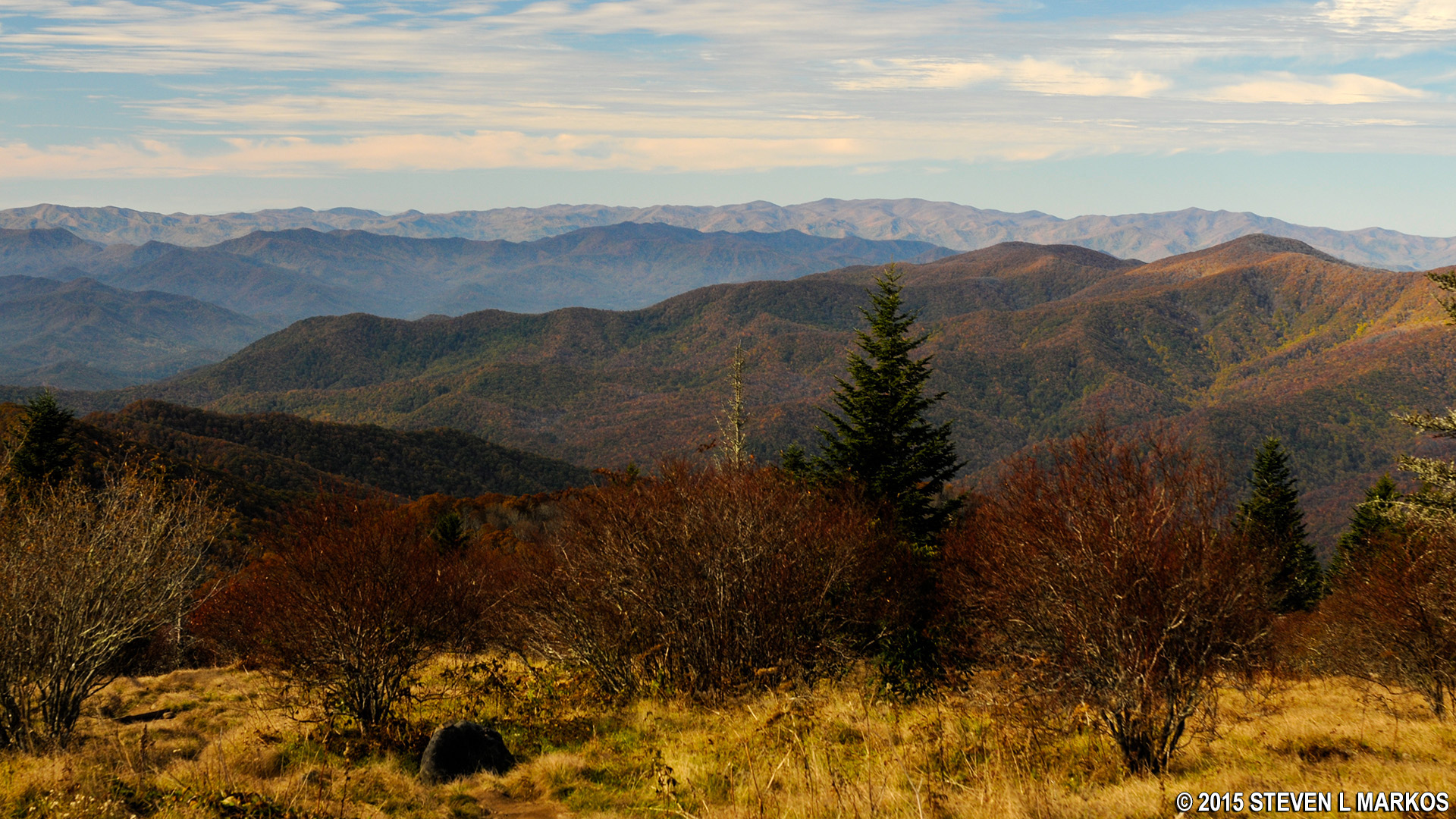 Great Smoky Mountains National Park FORNEY RIDGE TRAIL TO ANDREWS BALD