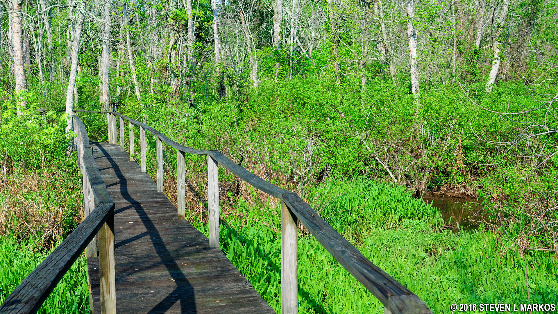 Piscataway Park PUMPKIN ASH TRAIL BLACKBERRY TRAIL LOOP HIKE