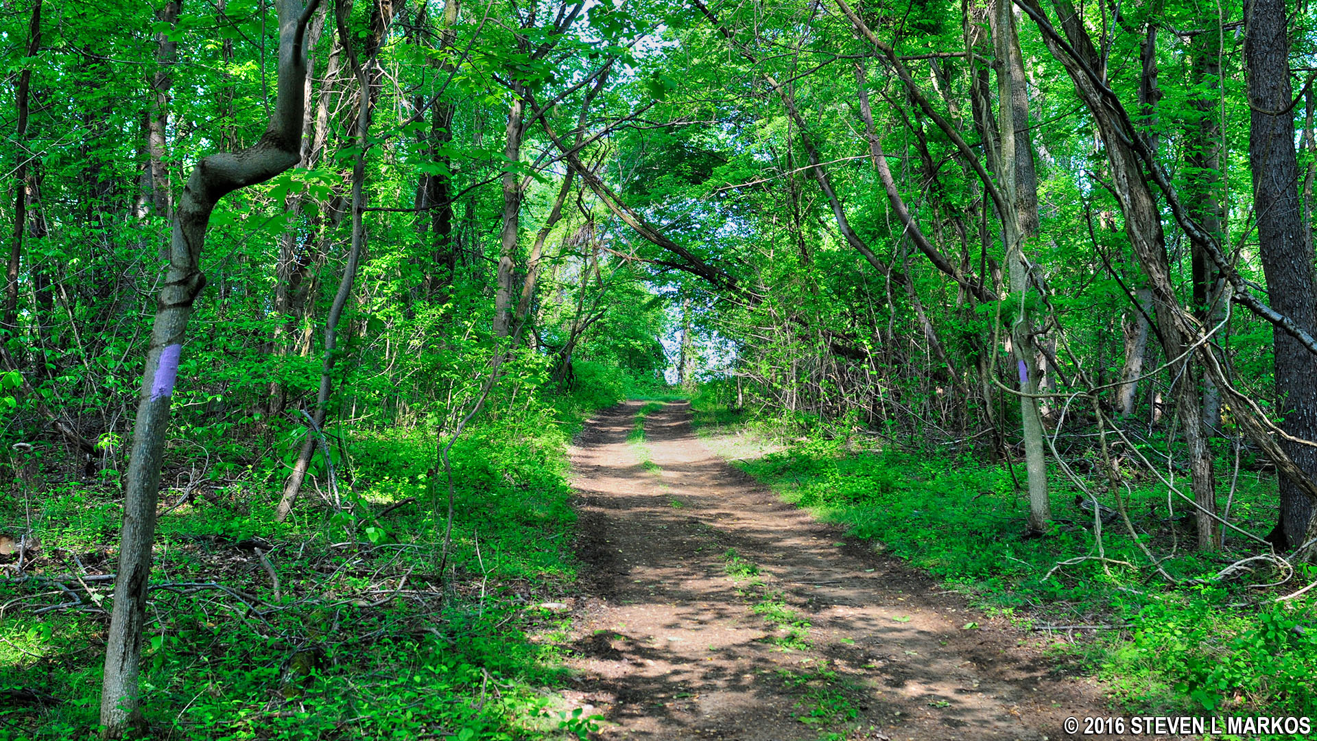 Piscataway Park PUMPKIN ASH TRAIL BLACKBERRY TRAIL LOOP HIKE