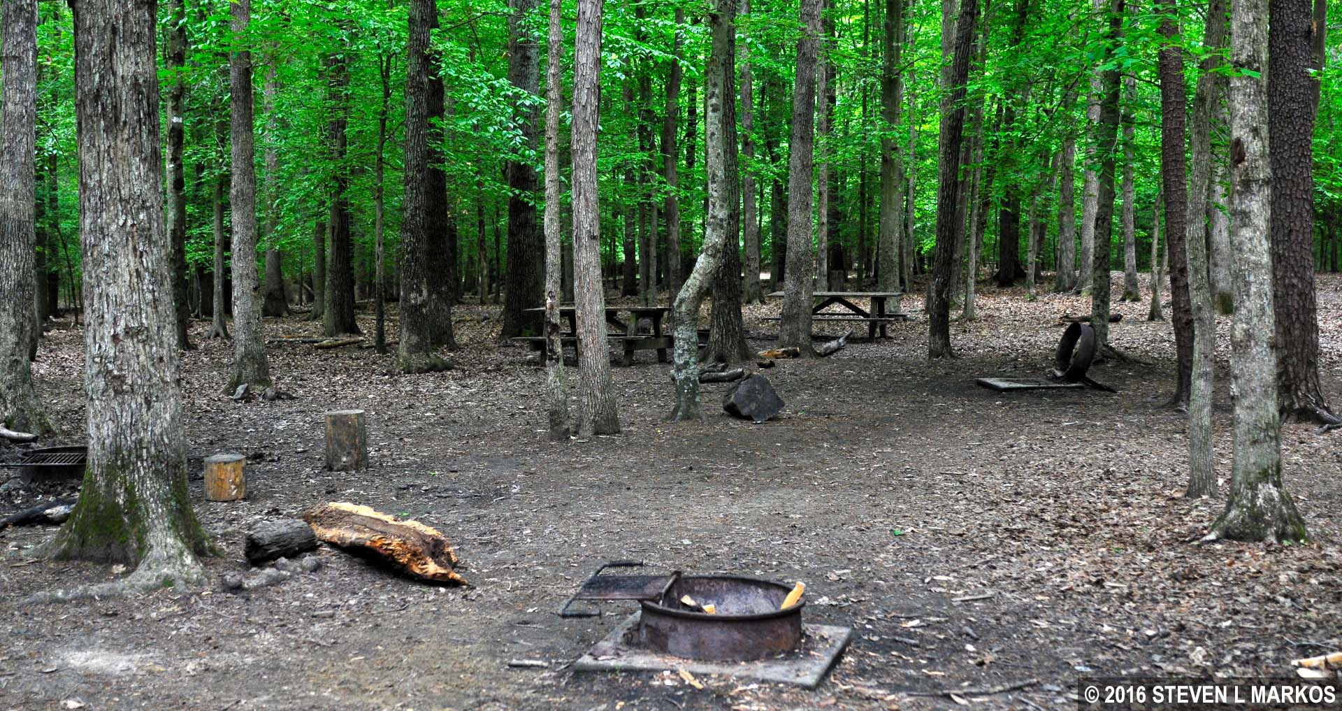 Prince William Forest Park TURKEY RUN RIDGE GROUP CAMPGROUND