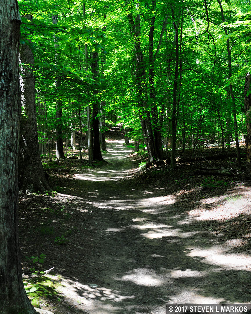 Great Falls Park RIDGE TRAIL, SWAMP TRAIL, AND OLD CARRIAGE ROAD
