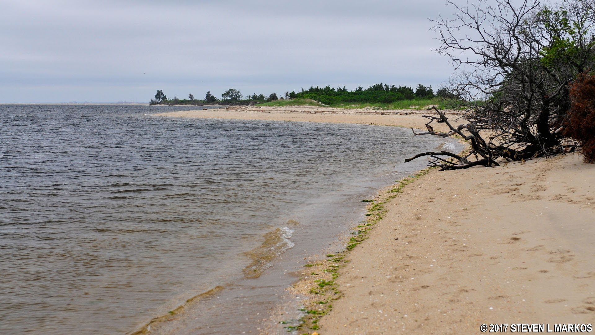 Gateway National Recreation Area BEACHES ON SANDY HOOK BAY