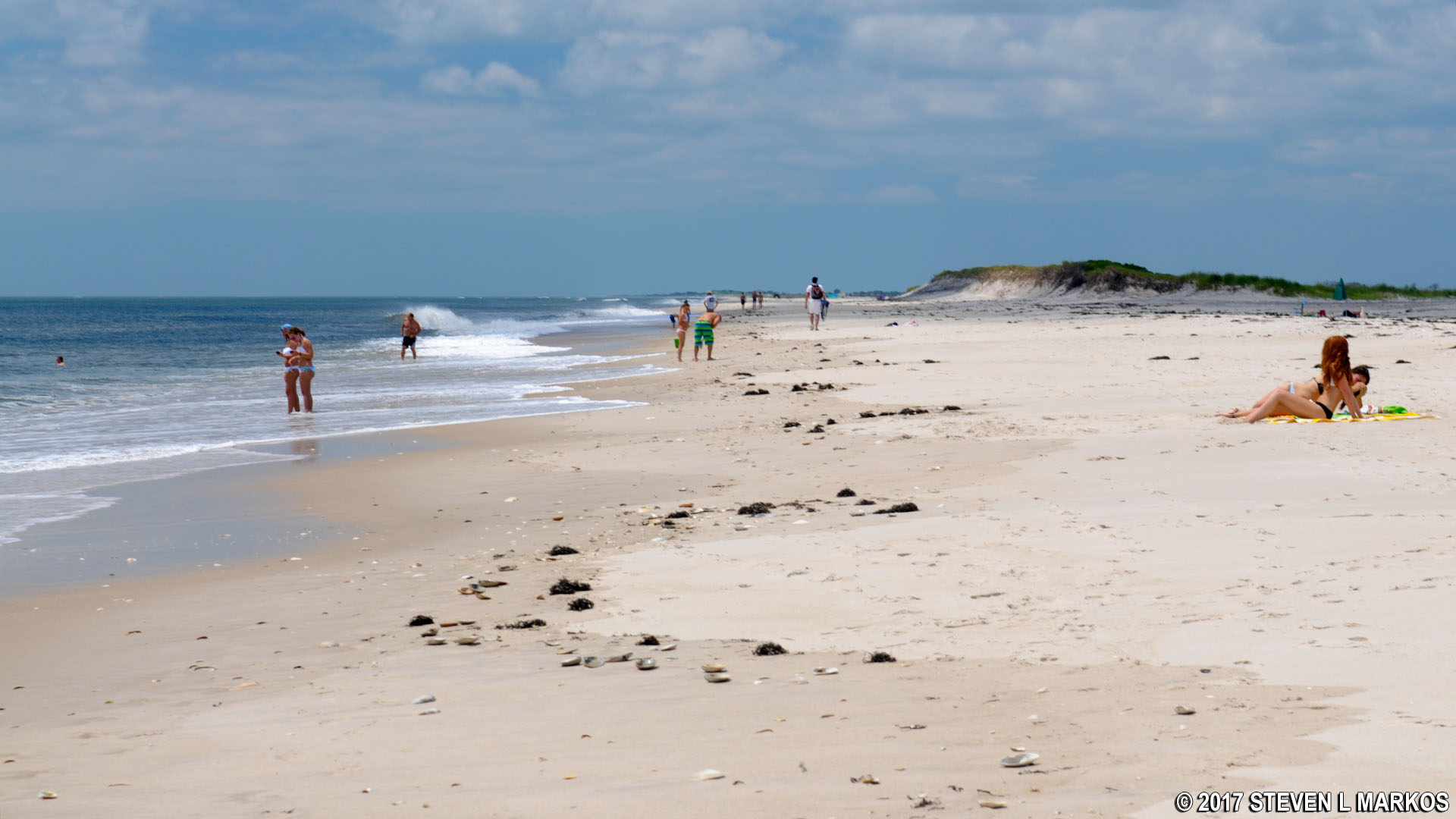 Fire Island National Seashore | OTIS PIKE WILDERNESS BEACHES