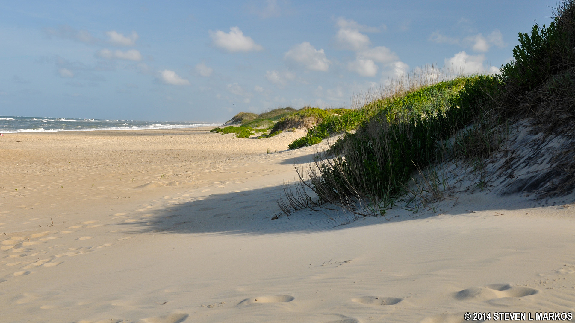 Cape Hatteras National Seashore COQUINA BEACH