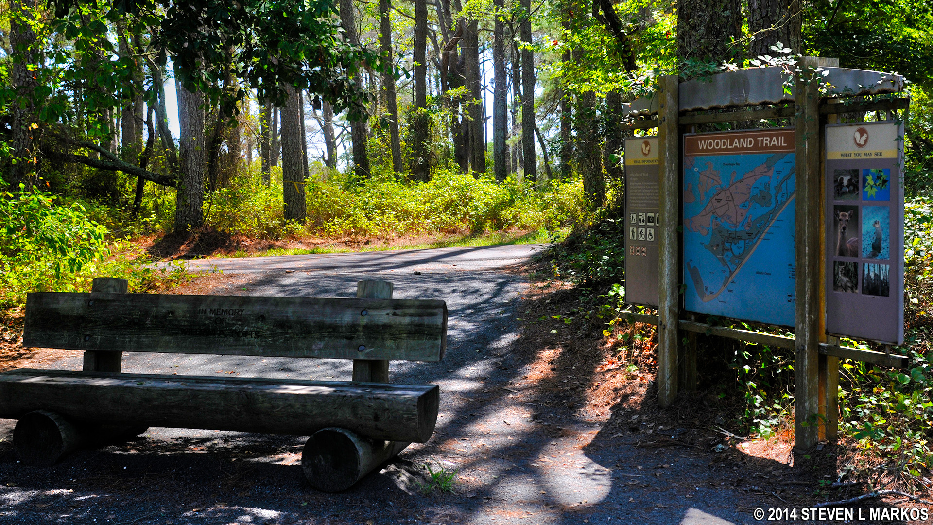 Assateague Island National Seashore WOODLAND TRAIL