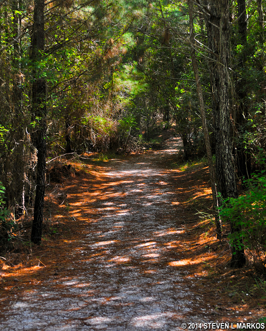 Assateague Island National Seashore BIVALVE TRAIL