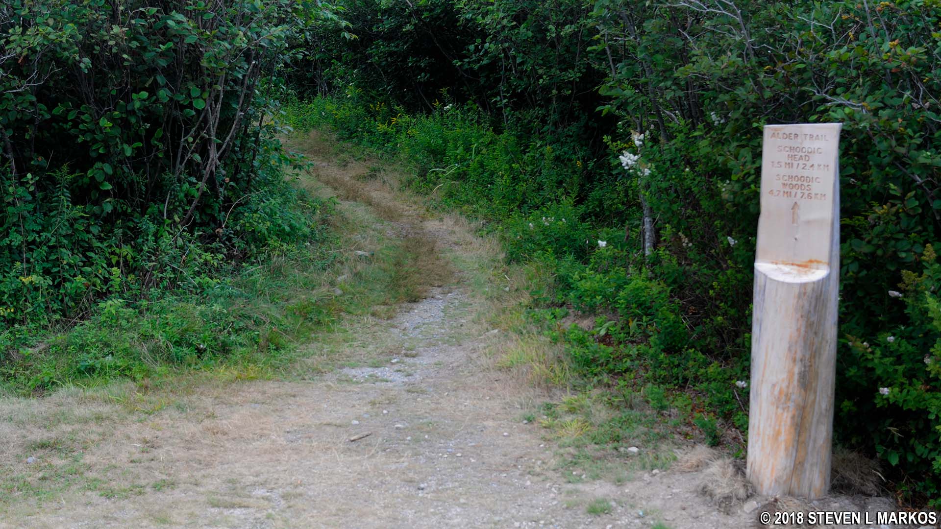 Acadia National Park ALDER TRAIL Bringing you America, one park at