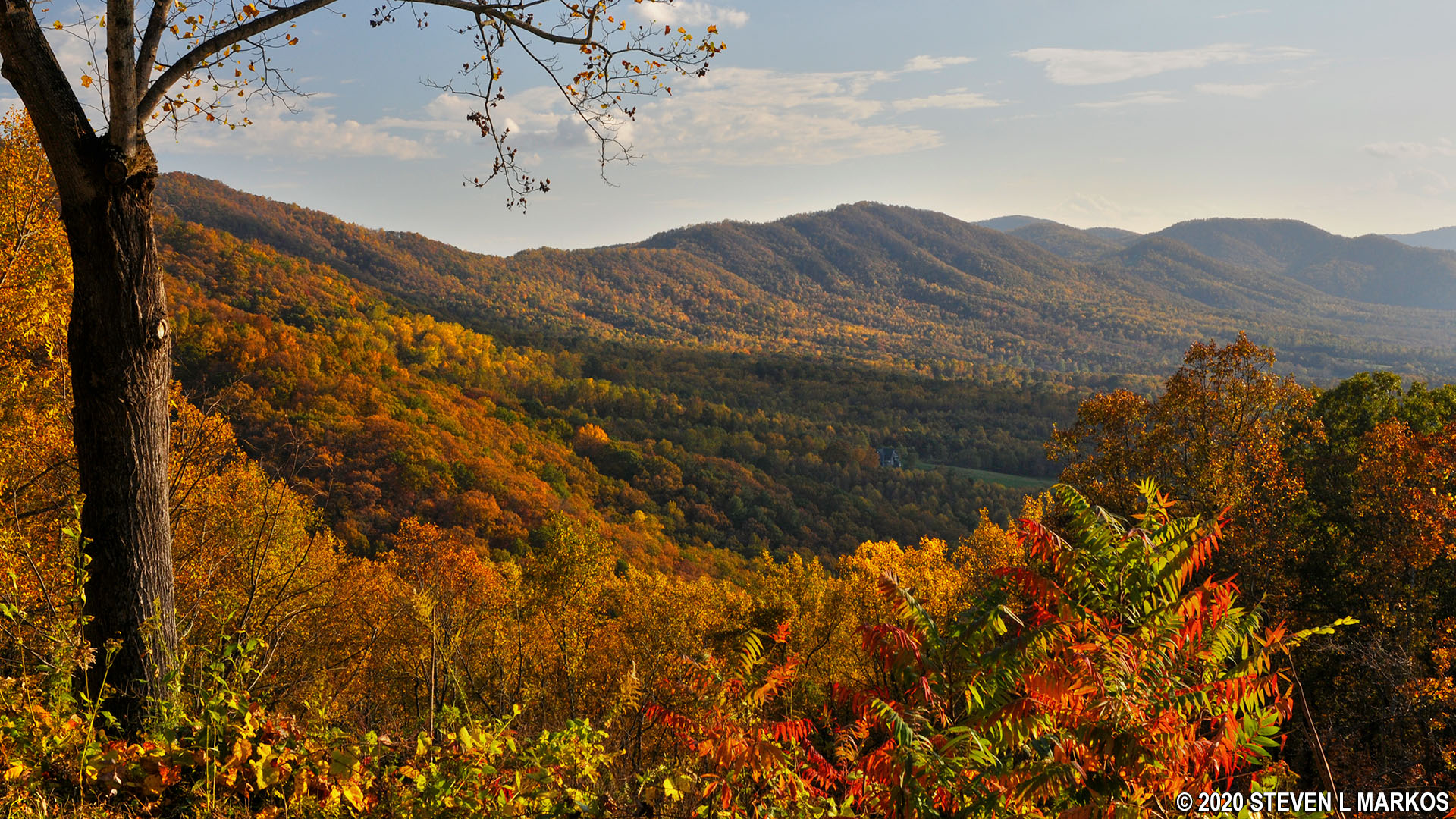 Blue Ridge Parkway UPPER GOOSE CREEK VALLEY VIEW (MP 89.4)