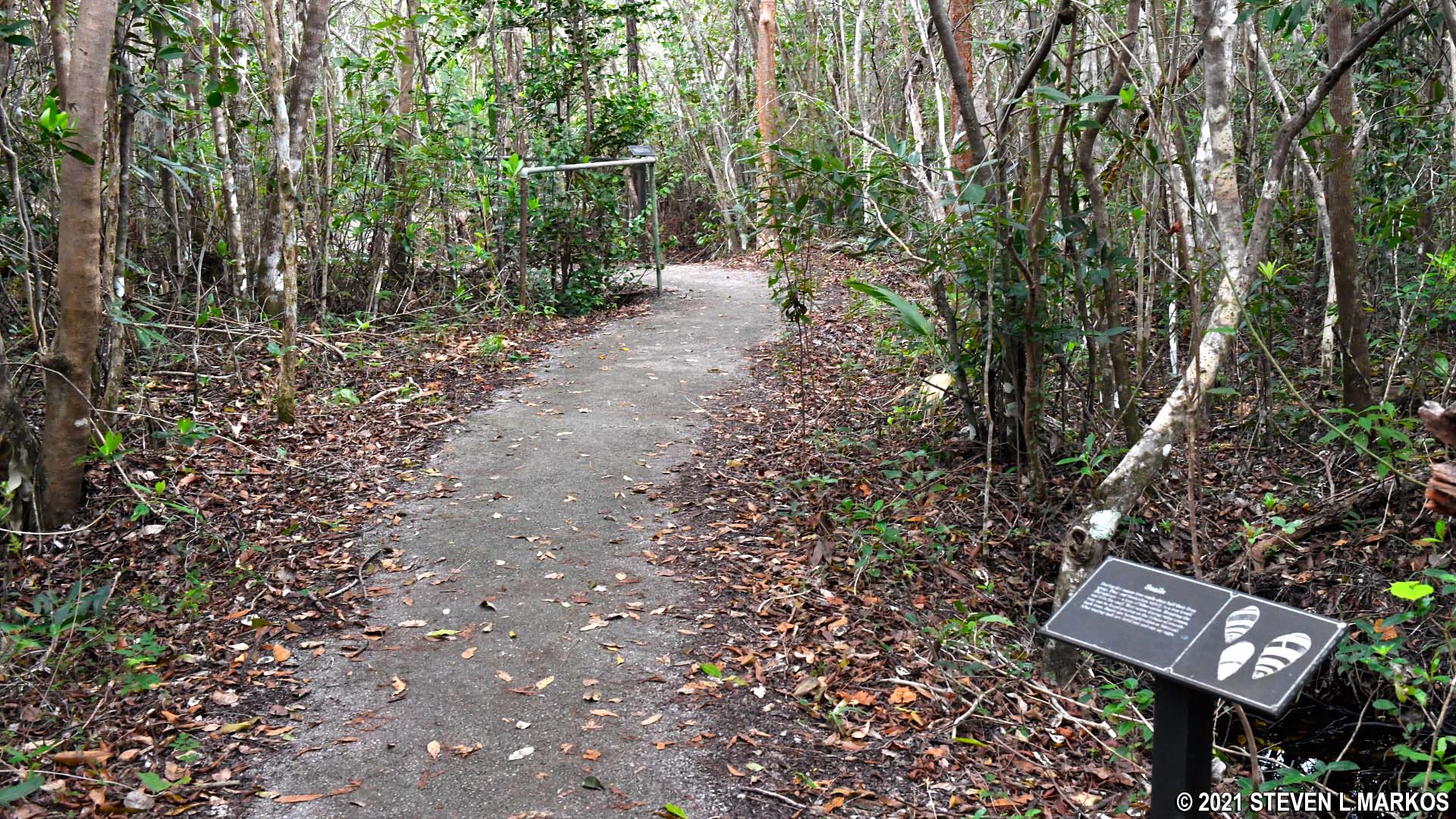 Everglades National Park PINELANDS TRAIL