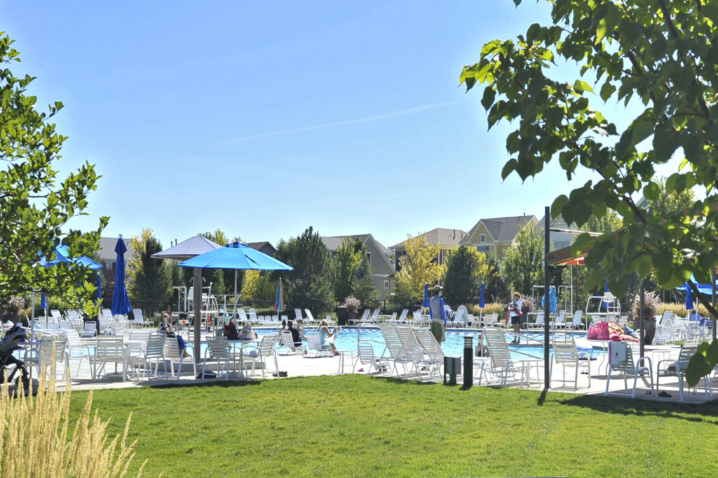 New to the Stapleton Northfield Neighborhood? New Perspective Team