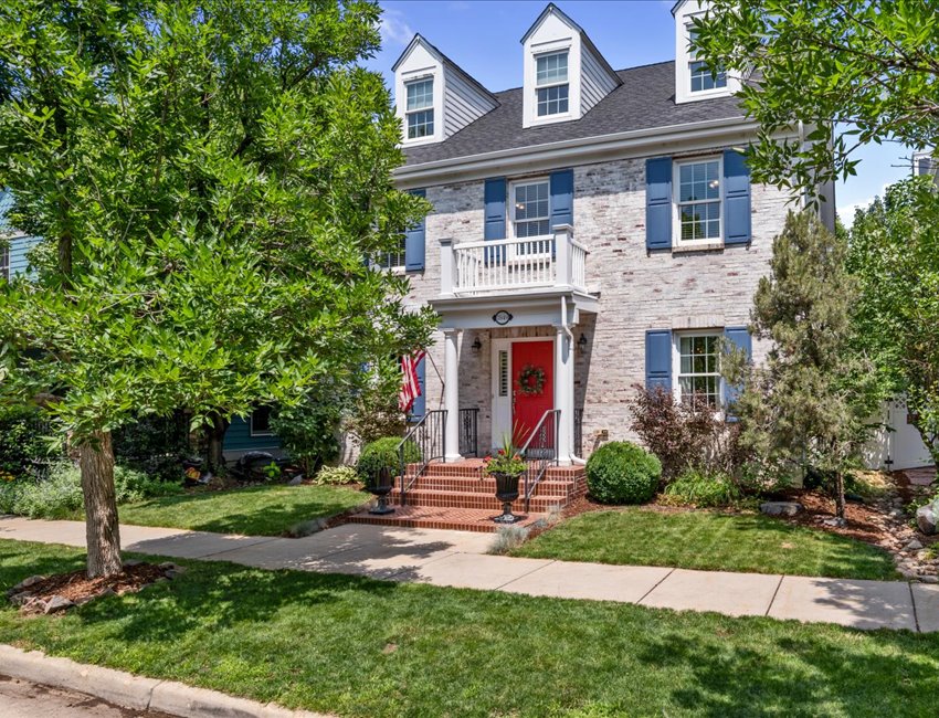 Everything & More in Central Park New Perspective Team