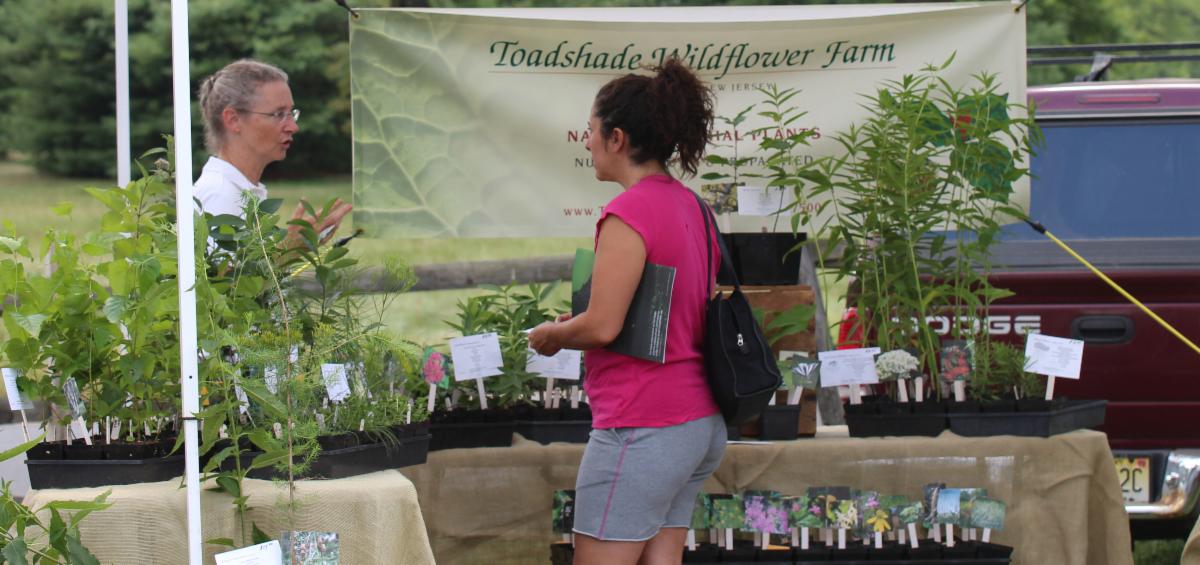 Two Great Native Plant Sales in Essex County (1/2 postponed, read post