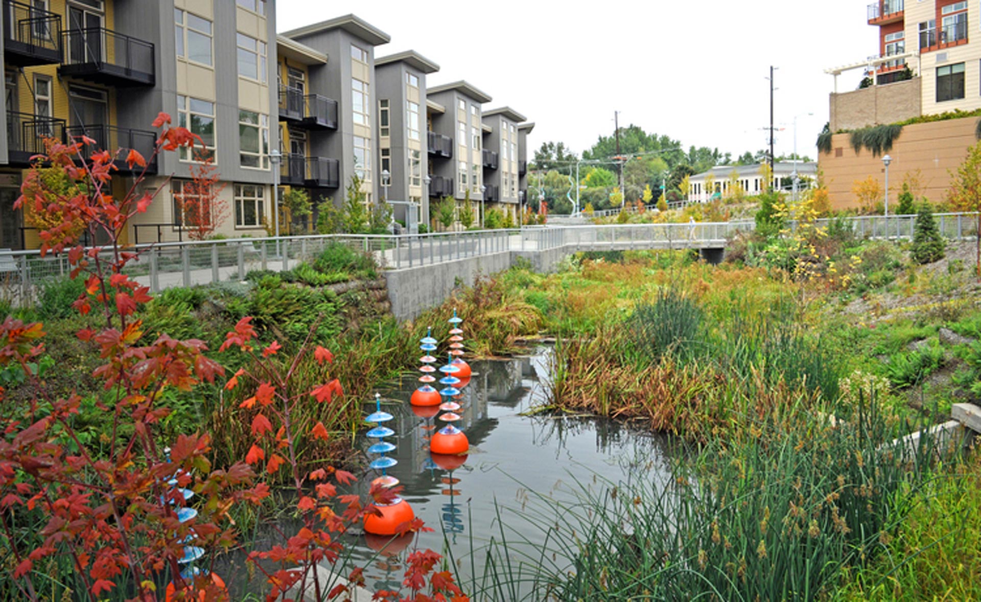 Santa Cruz Riverbank and Ecosystem Restoration, Pima County, Arizona