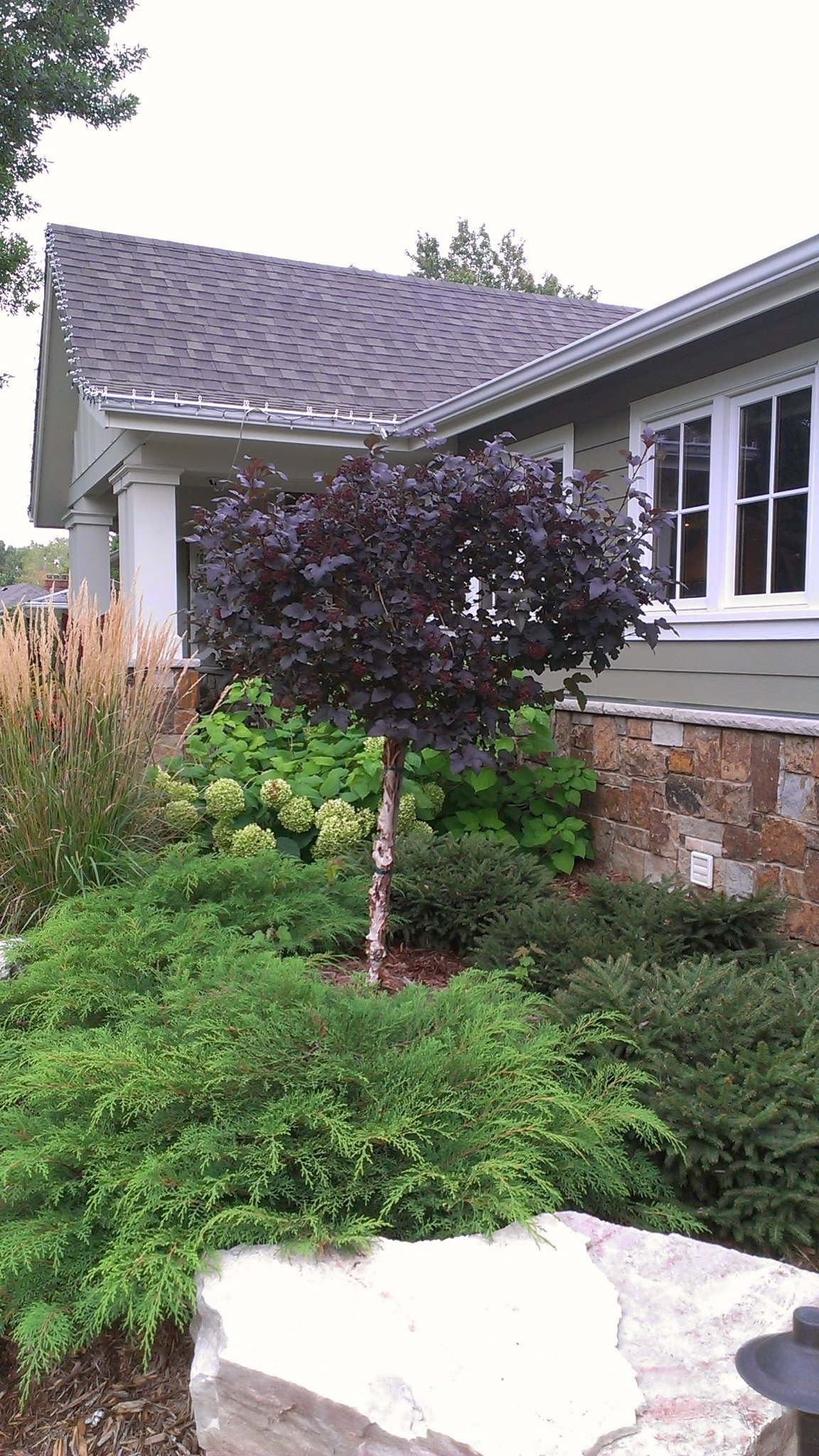 Landscape Designer MN Landscape Design Edina & Plymouth MN