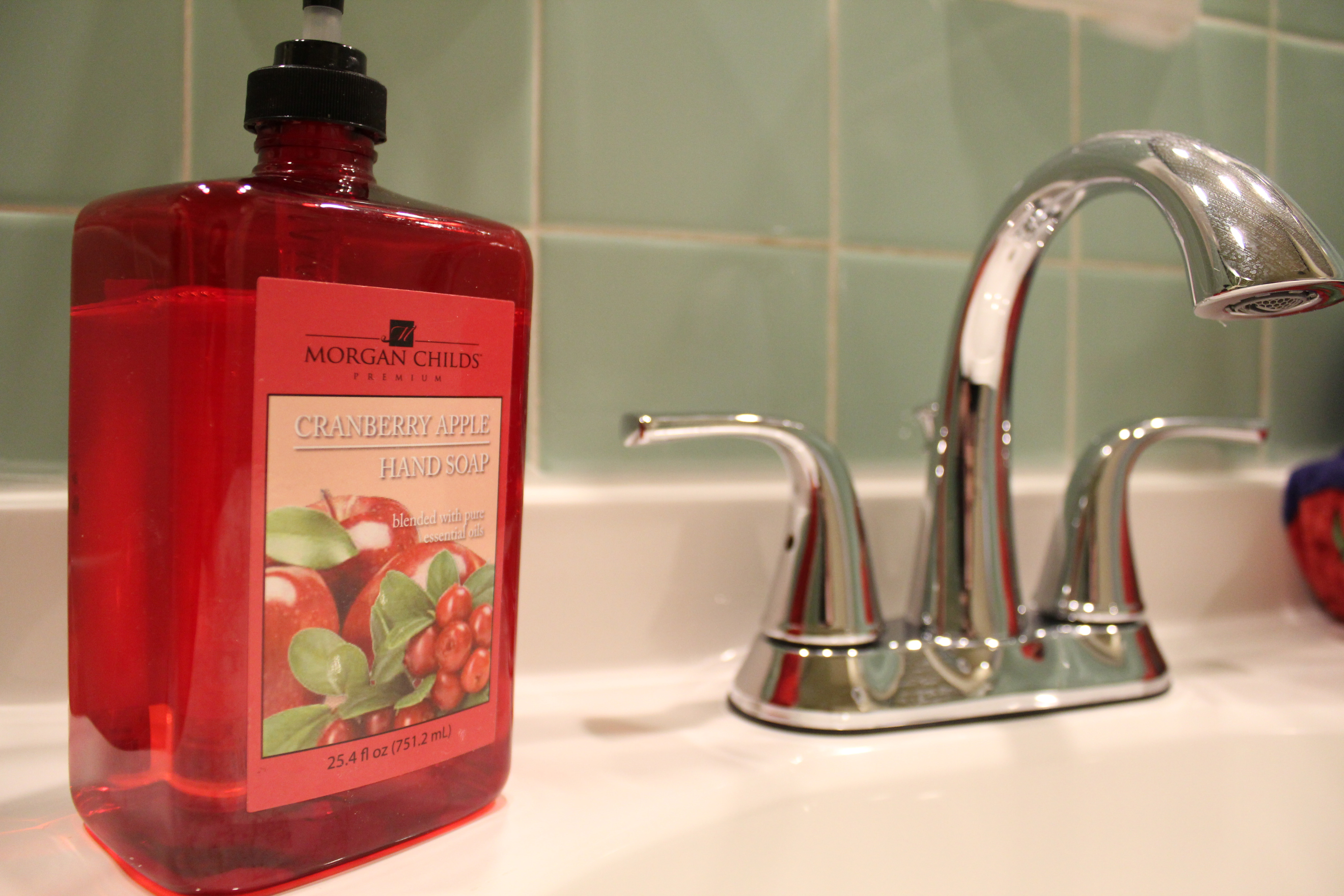 IMG_1067 National Real Estate Mgmt. Corp.