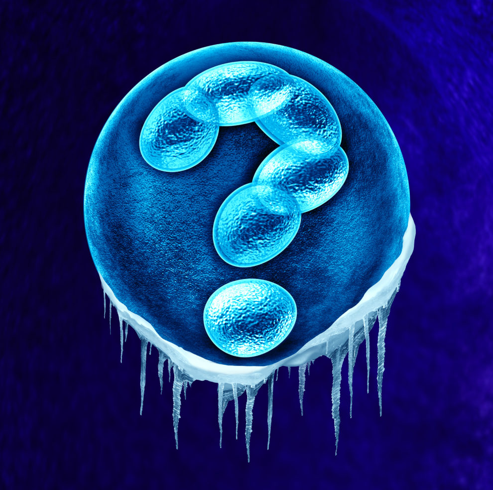 What Happens to Created Embryos After a Death or Divorce? • Embryo