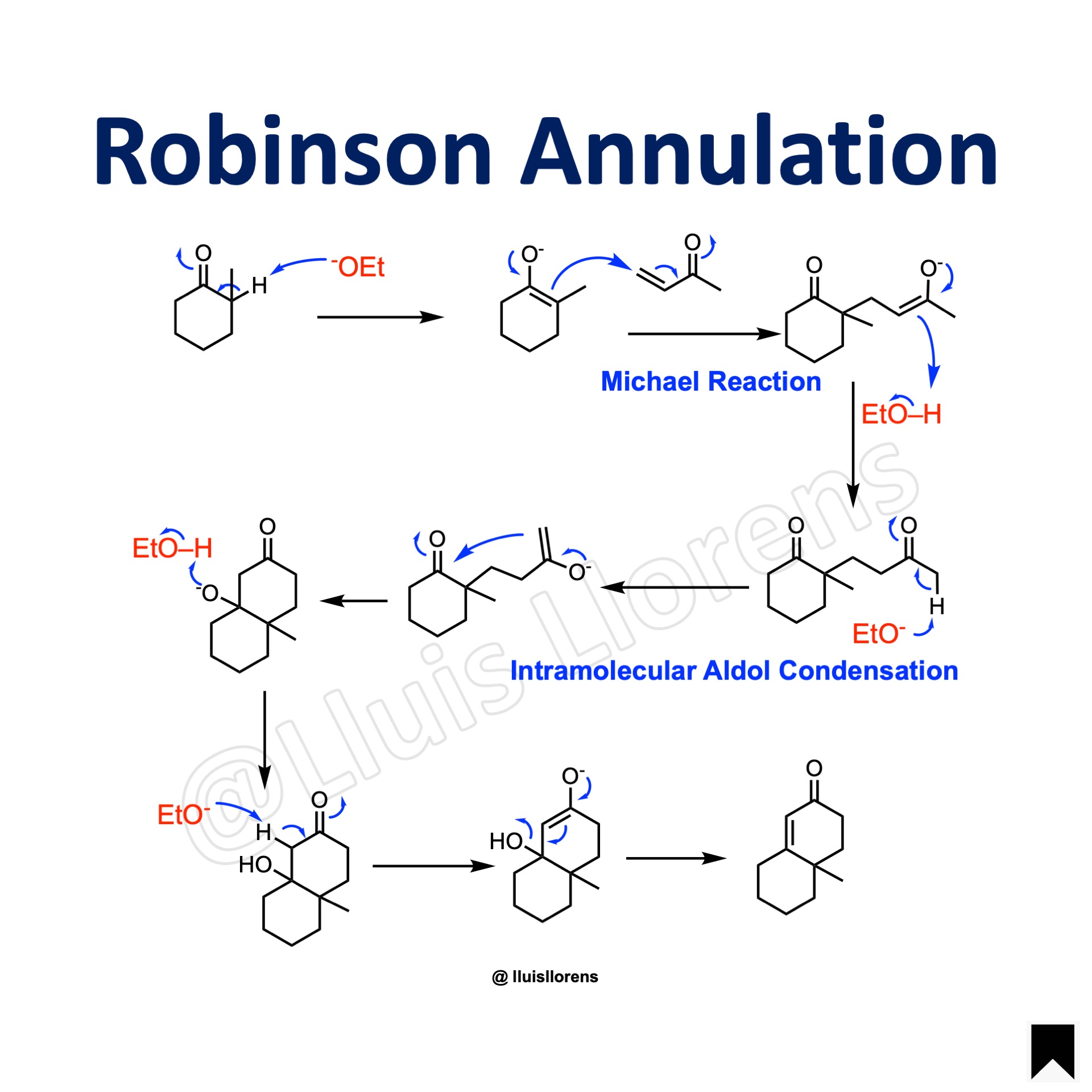 Robinson Annulation