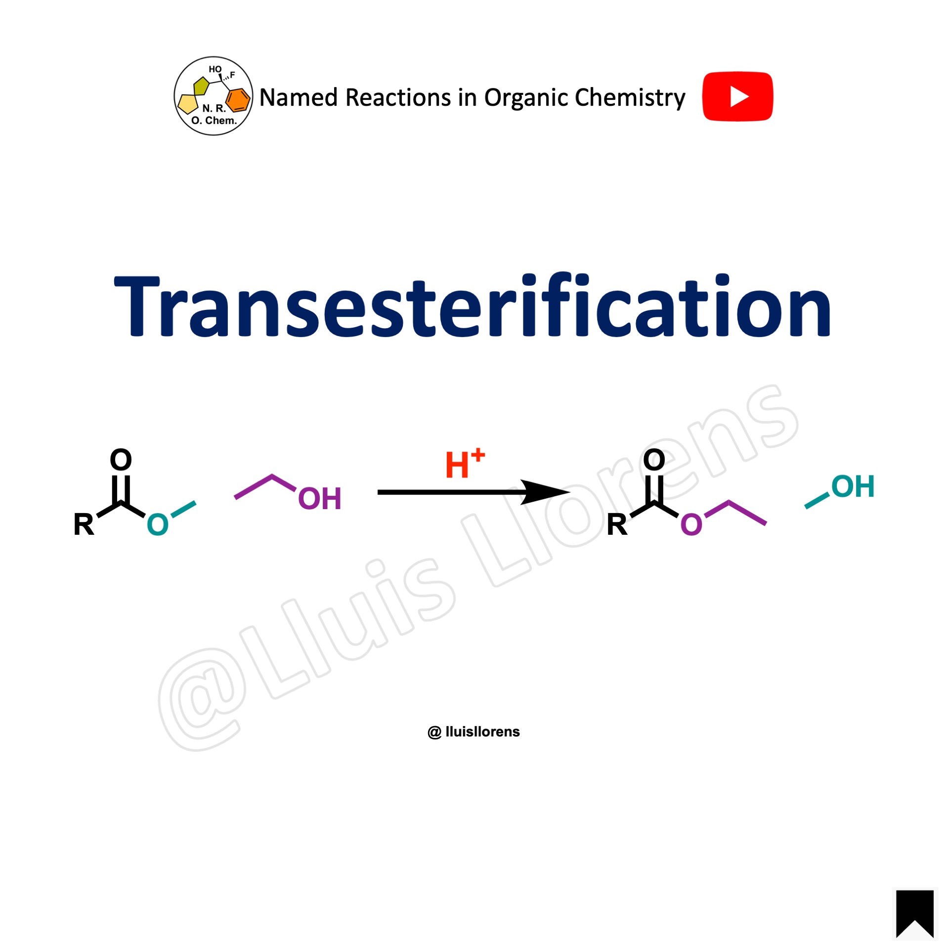 Transesterification Reaction