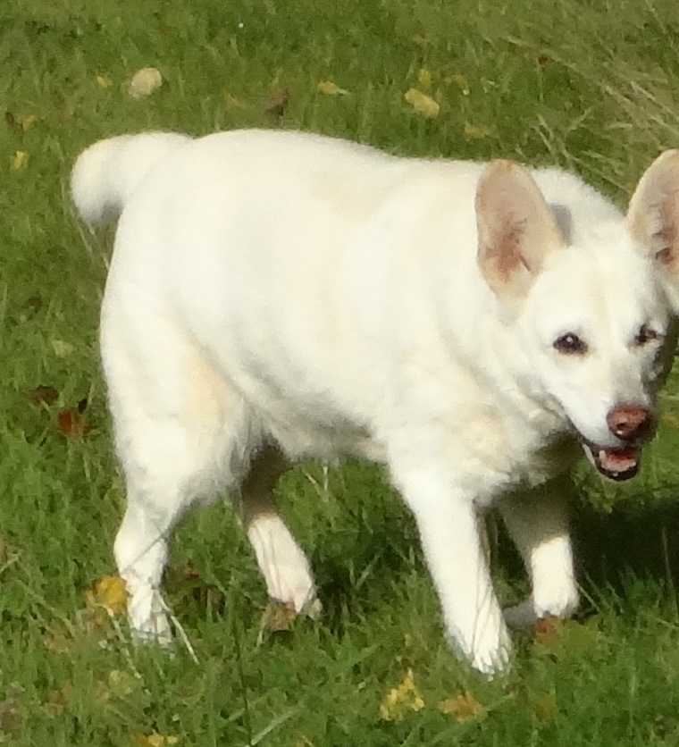 HAPPY ENDING Home, Safe n’ Sound Highway 1, Mount Denson, Hants Co