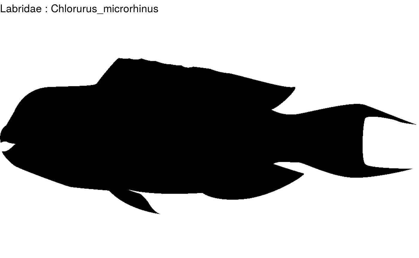 Overview fish shapes • fishualize