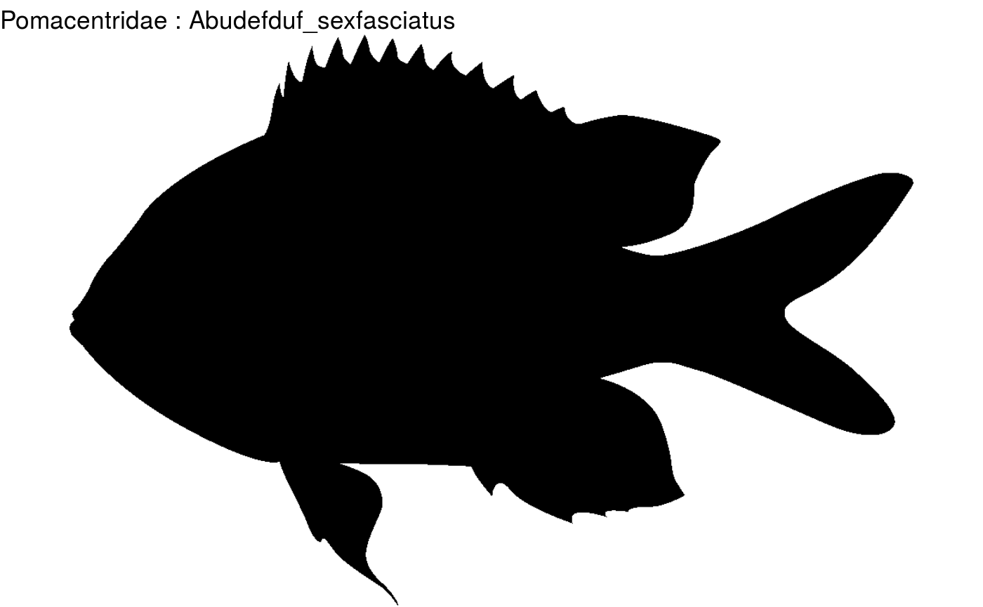 Overview fish shapes • fishualize