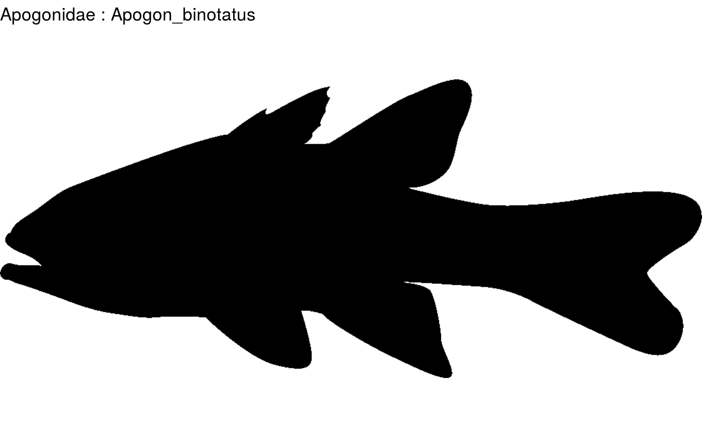 Overview fish shapes • fishualize