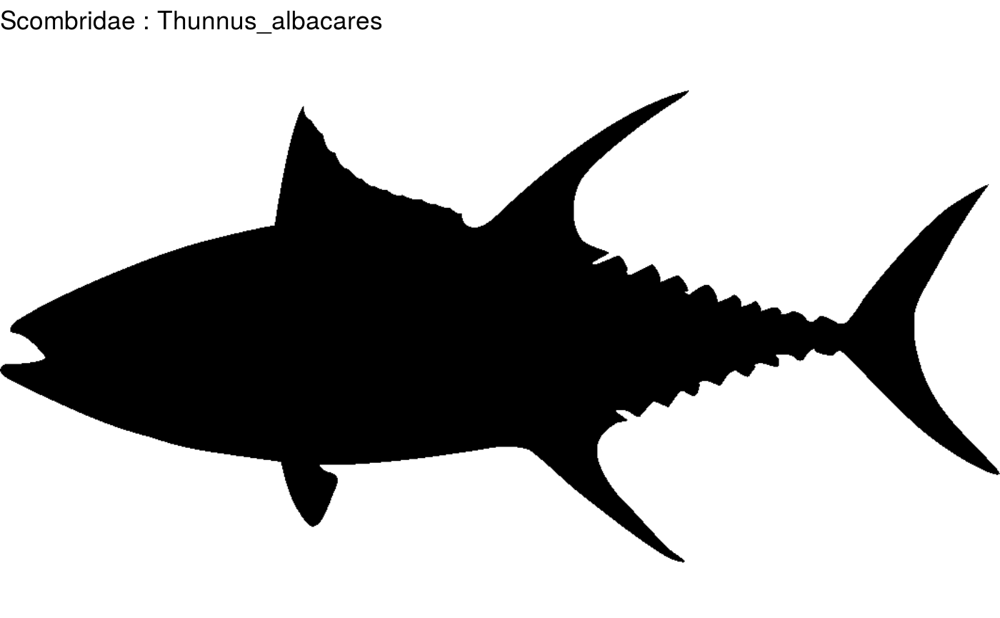Overview fish shapes • fishualize