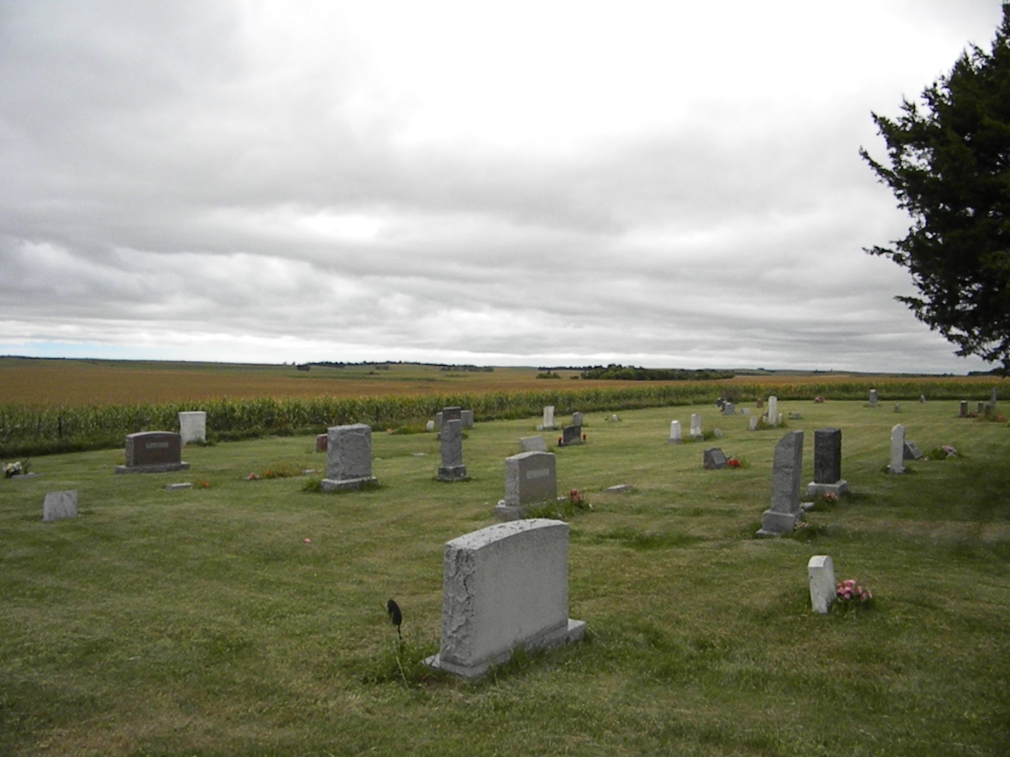 to the Nebraska State Genealogical Society Site!!