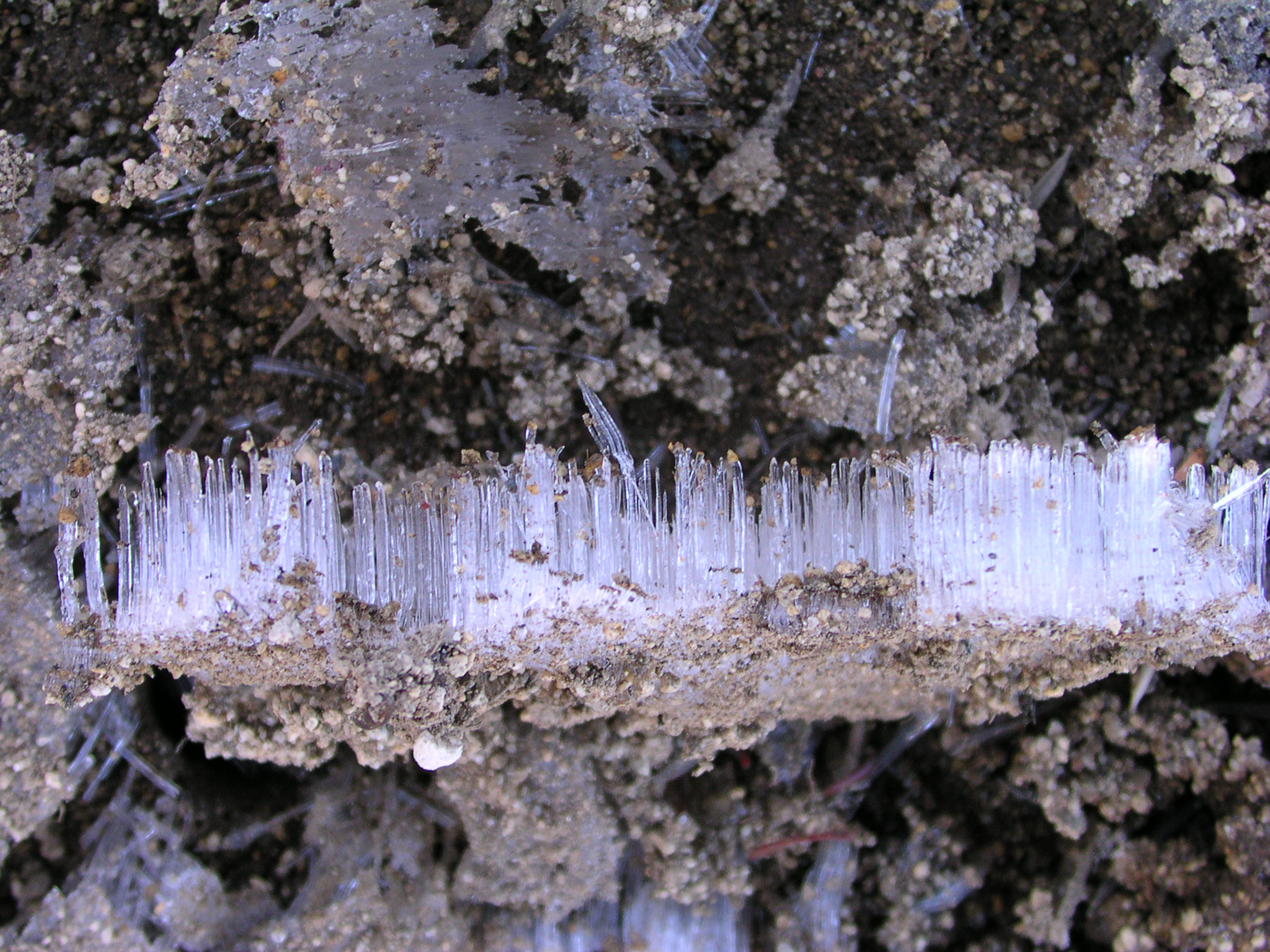 Frozen Soil