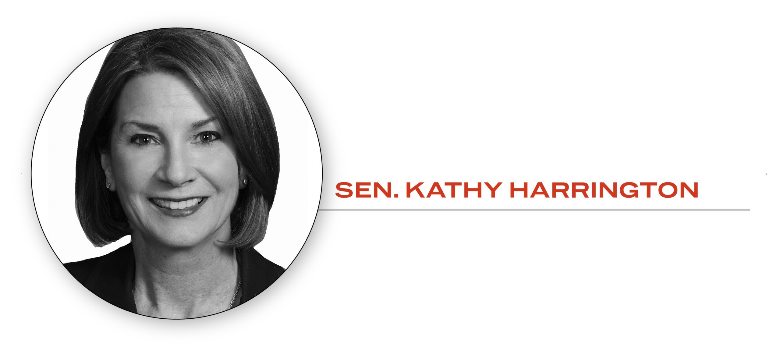 HARRINGTON_Feature The North State Journal