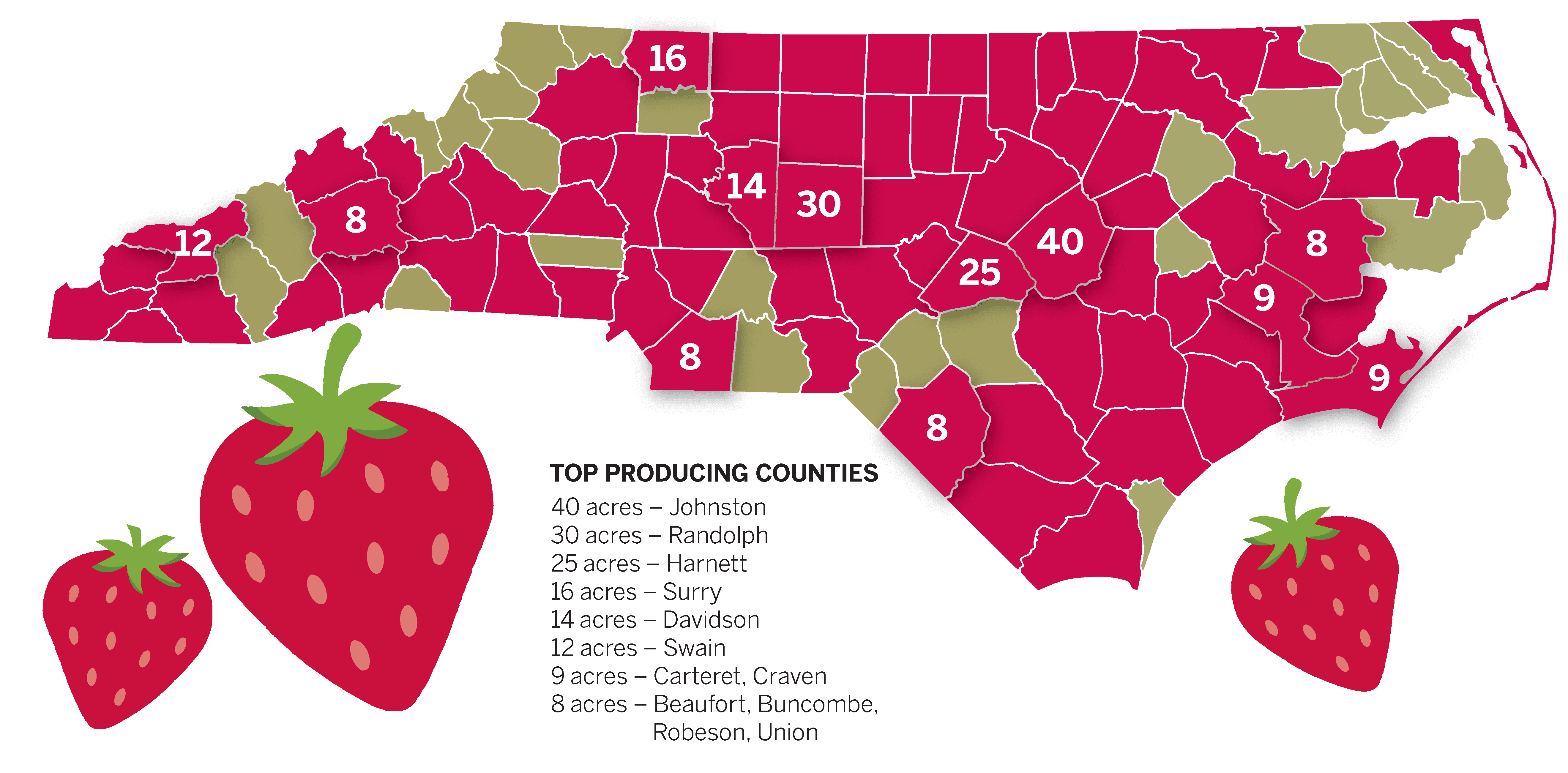 North Carolina Strawberry Festival celebrates its 90th year The North