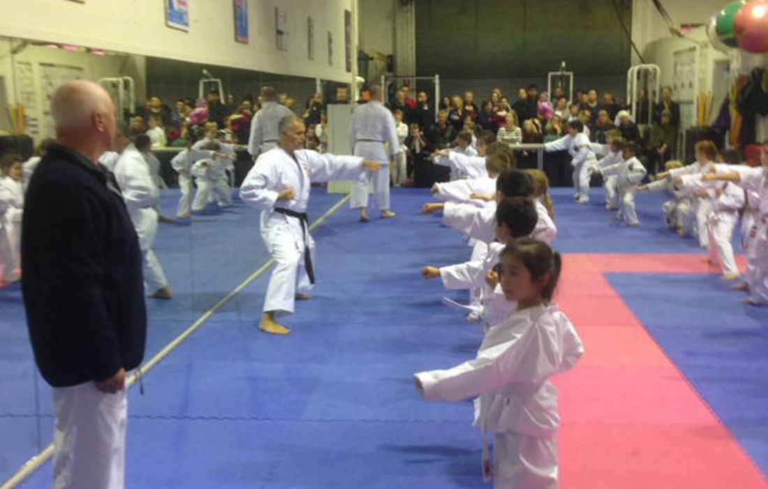 Martial Arts Melbourne NS Karate's 1 Martial Arts in Melbourne