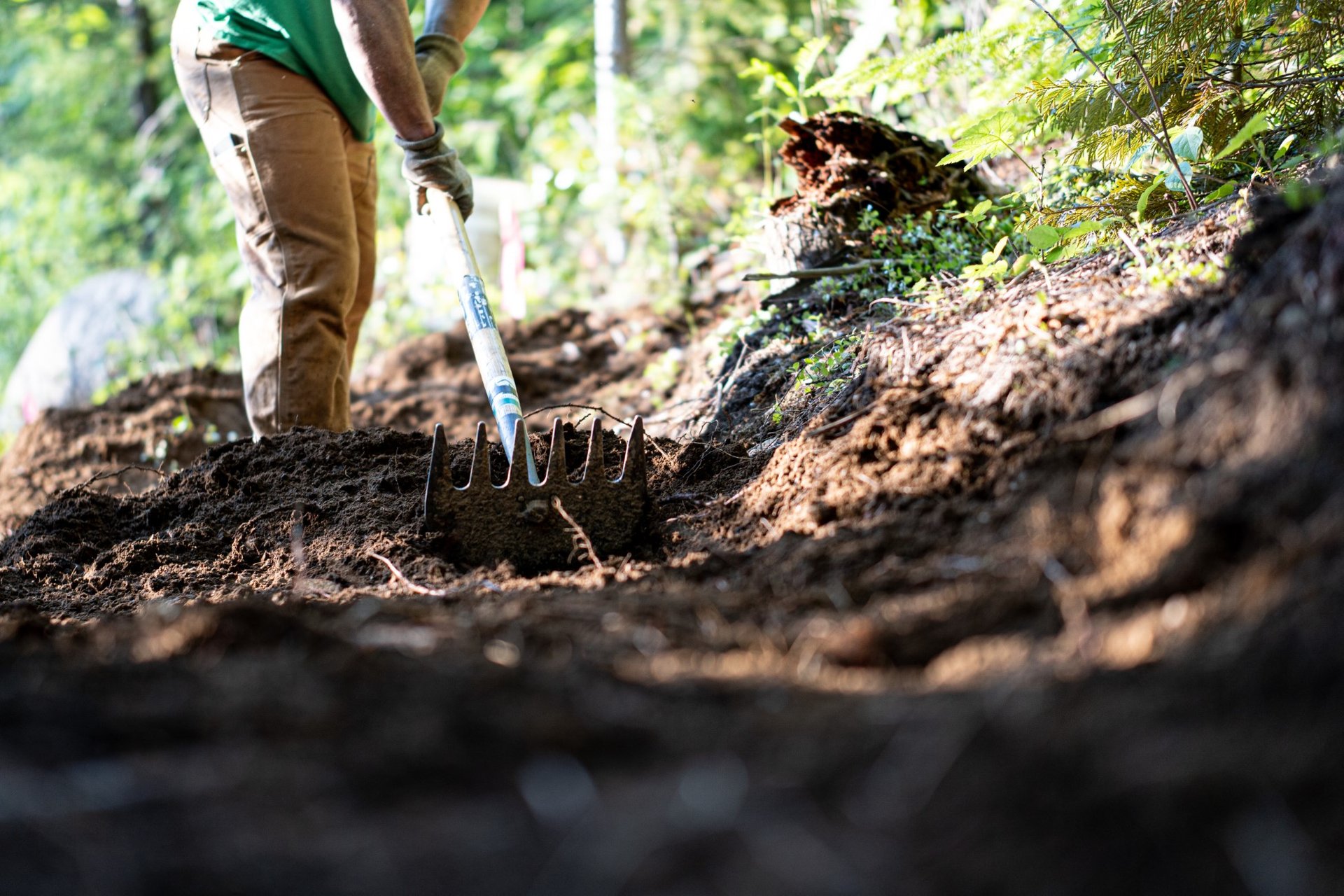Digging COVID: Four Rules to Build By
