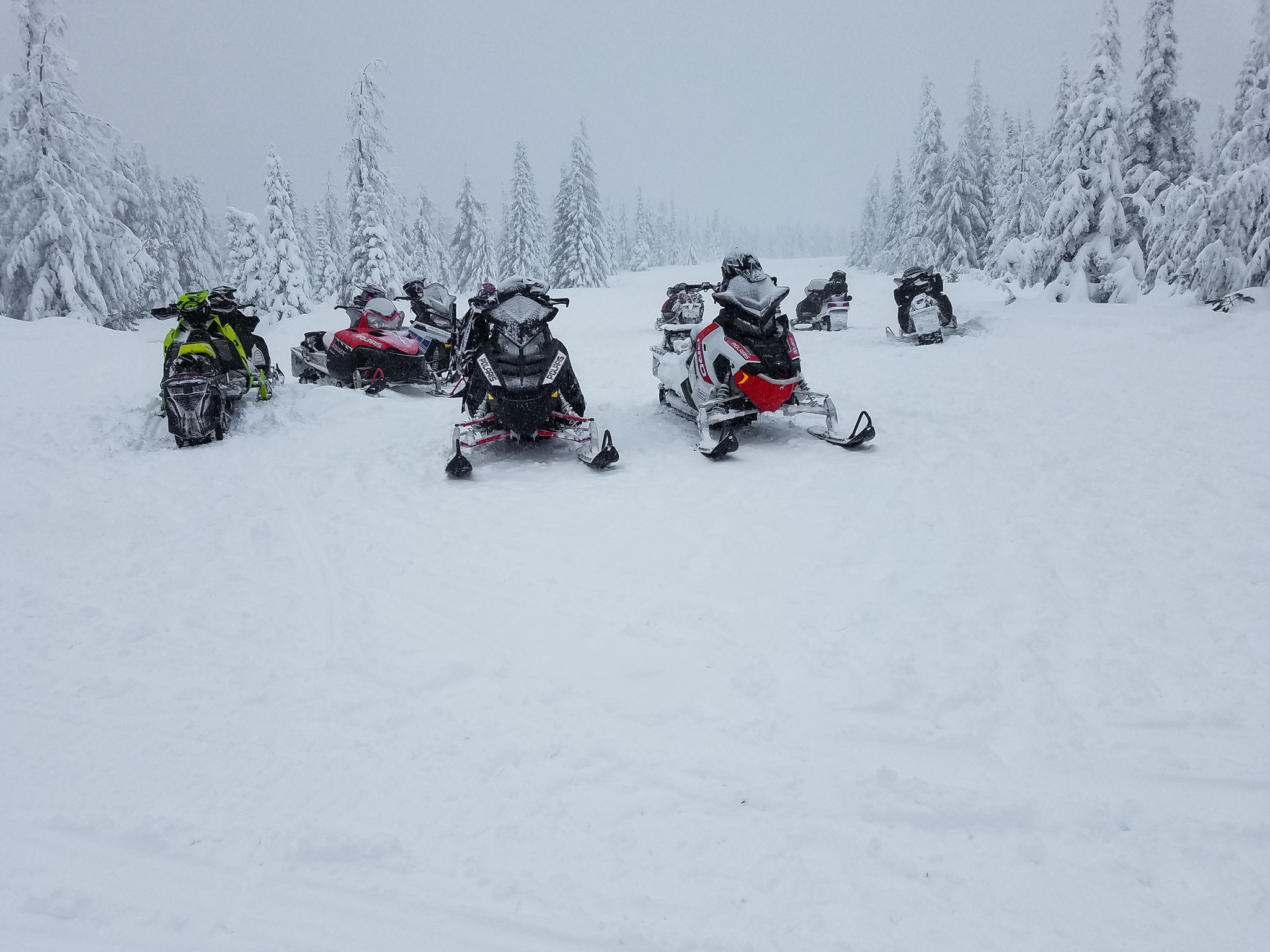 A Grand Adventure Snowmobiling the Great Northwest Pacific Northwest