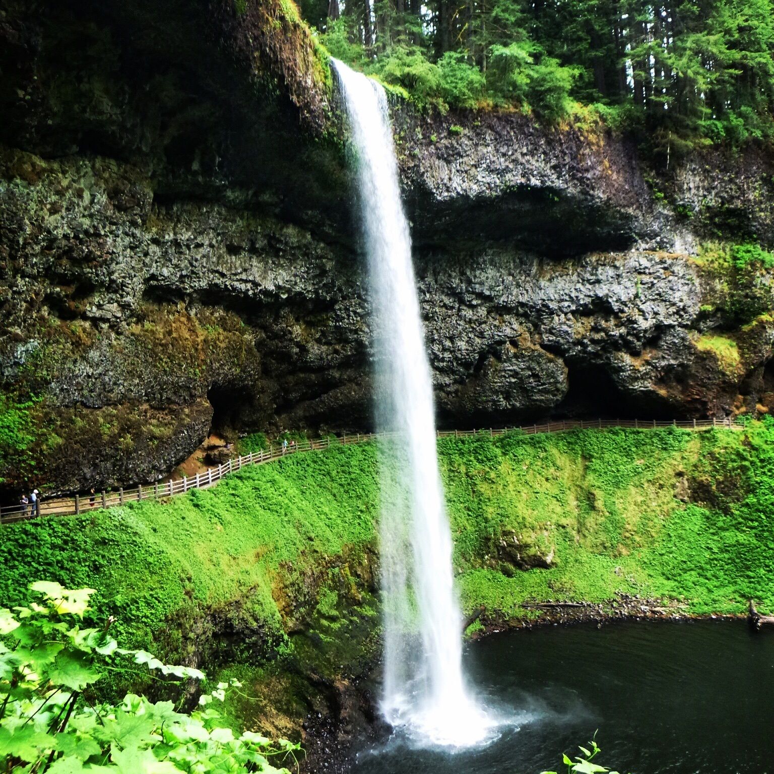 10 MustSee State Parks in the U.S. Pacific Northwest Living