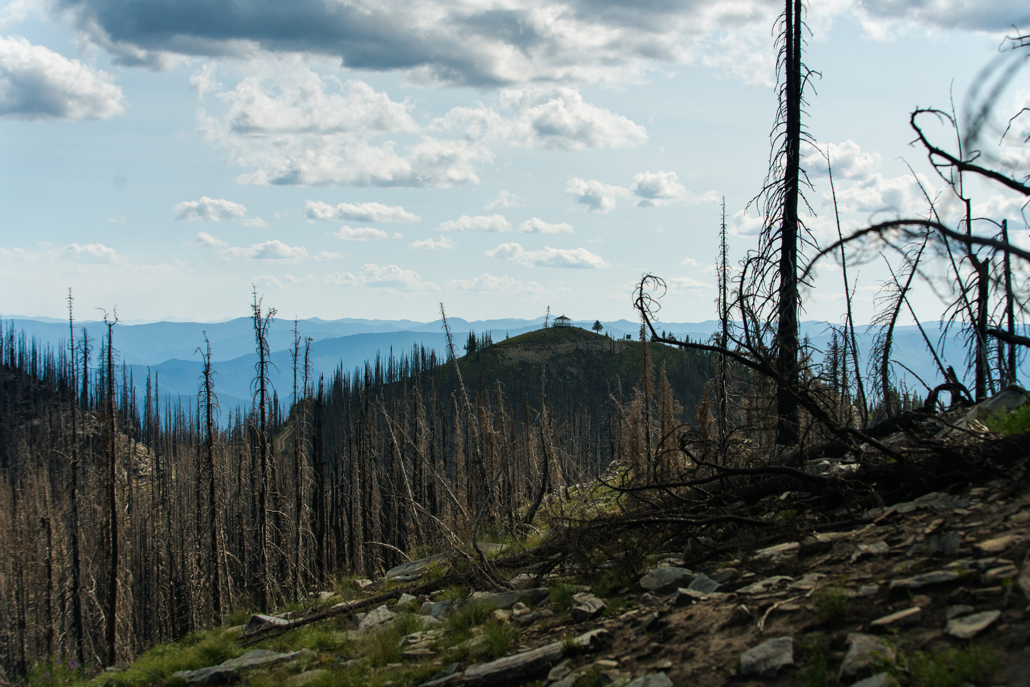 Graves Trail Thompson Falls, Montana Nspire Magazine Pacific Northwest Living