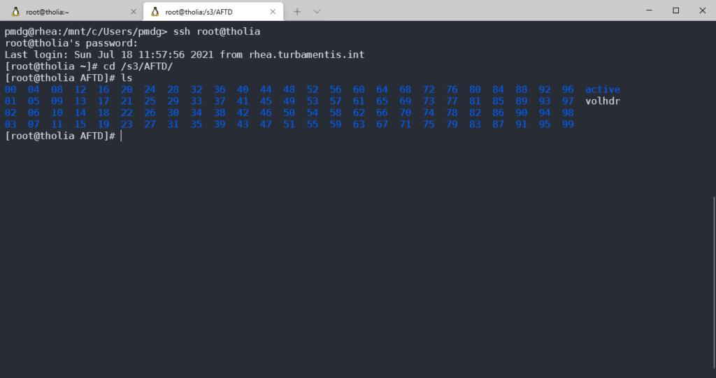 NetWorker Basics – S3 as an AFTD Target – Data Protection Hub