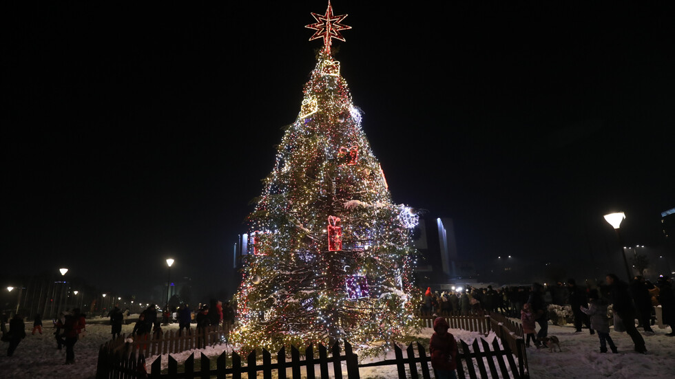 Sofia's Christmas Tree lights start shining Nova.bg