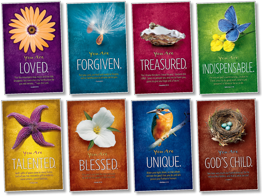 NS3119 Just the Way You Are Bulletin Board North Star Teacher Resources