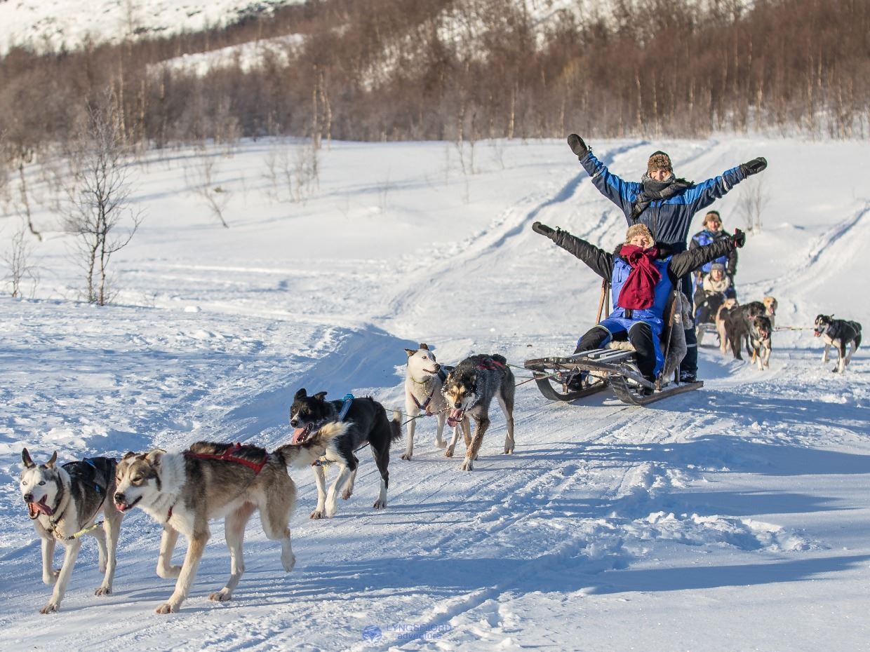 Christmas Vacation Packages Holiday Packages