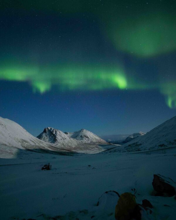 Summer Lights Tour 2023 Northern Lights Holiday Packages 2022-2023 | Norwegian Travel Company