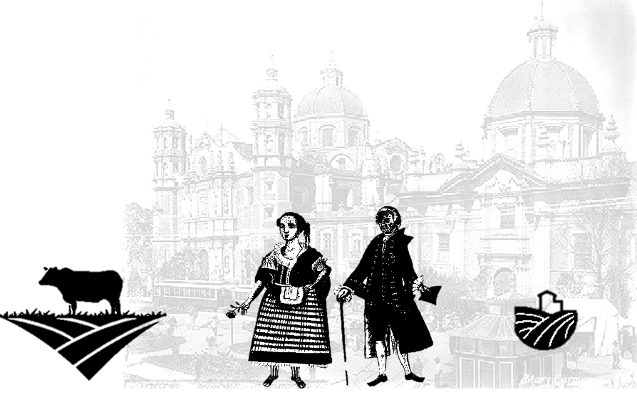 Inmigración española, asiática y africana Historia Tercero