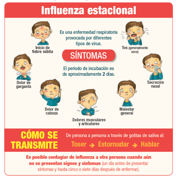 Pasos para crear infografías educativas para . Que Es Una Infografia Lenguaje Primero De Primaria Nte Mx Recursos Educativos En Linea