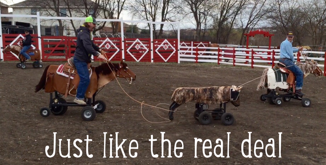 Get to the zone Rodeo Zone Mini Ranch North Texas Farm and Ranch
