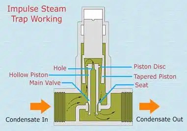 Thermodynamic Steam Trap - Industrial Valve Manufacturer
