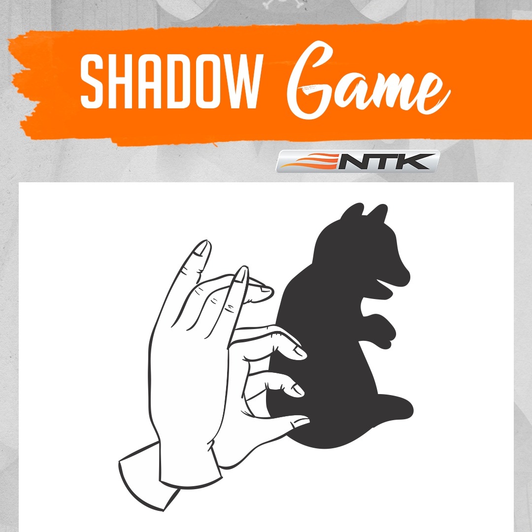 Shadow Game Fun For All Family Printed Inside the Flash 8 tent • NTK Global