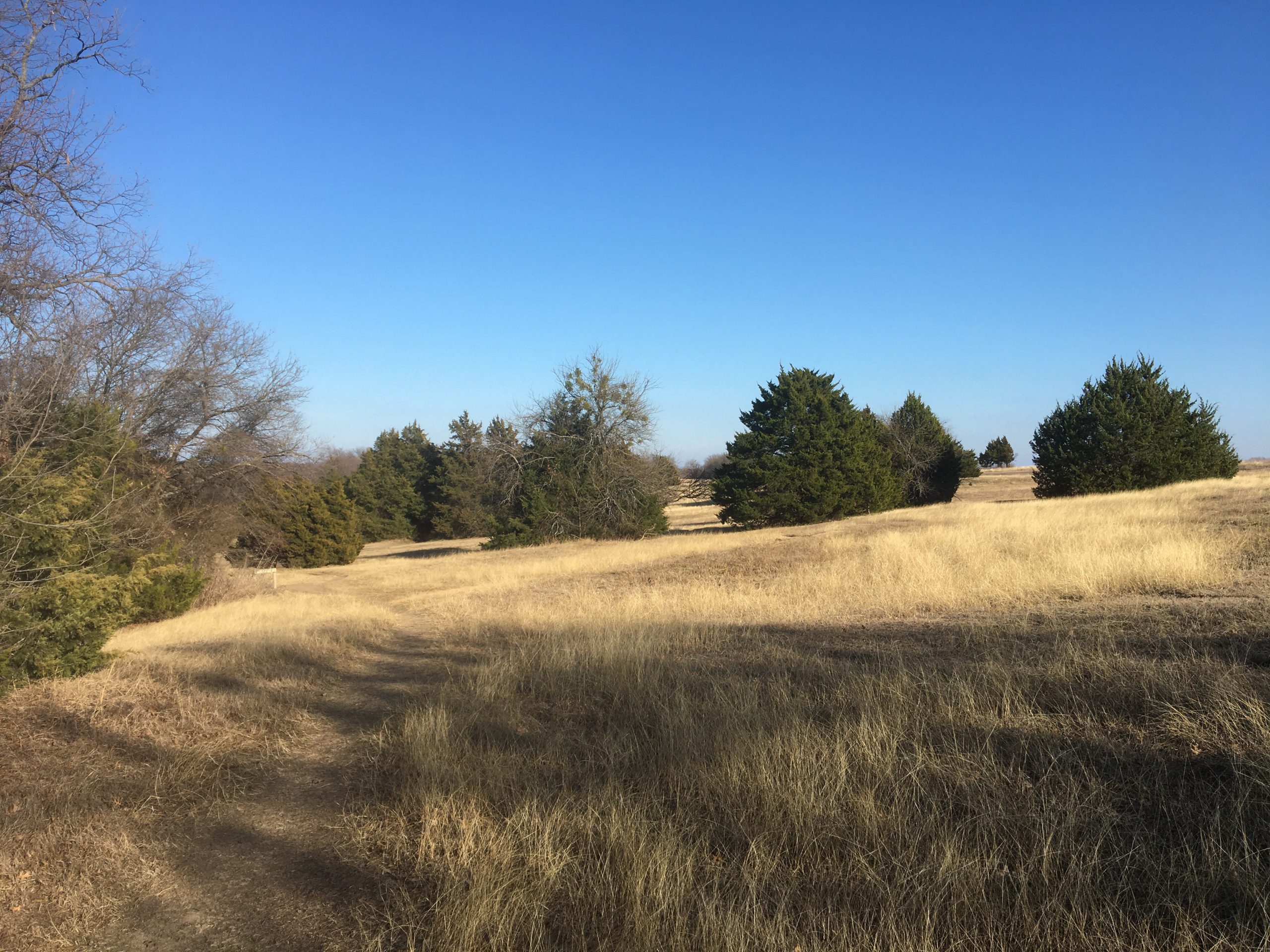 Erwin Park DIYO 2024 NTOA