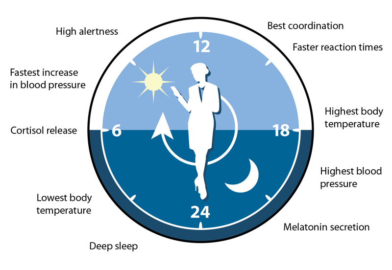 NTP Review of Shift Work at Night, Light at Night, and Circadian Disruption