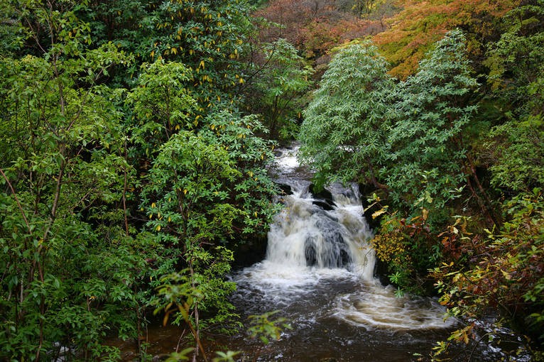 Crarae Garden The National Trust for Scotland Foundation USA