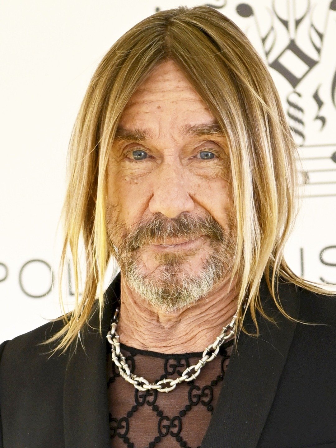 Iggy Pop Singer, Songwriter, Musician, Actor